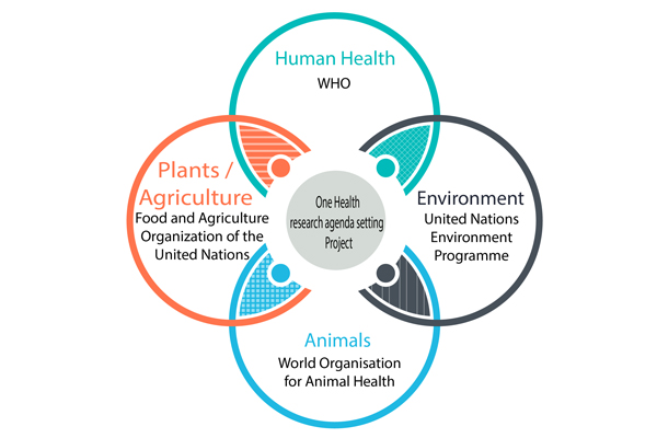 Venn Diagram showing Human Health, Plants and Agriculture, Environment and Animals Intersecting at  One Health  research agenda setting One Health  Research Agenda Setting Project