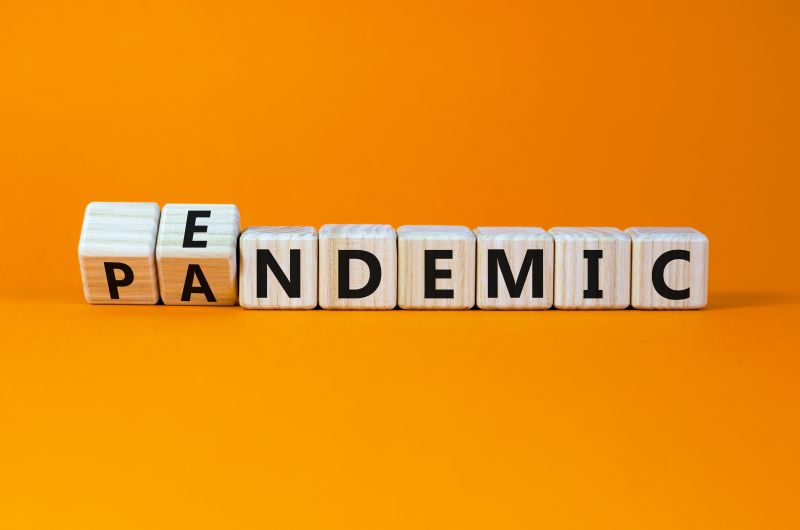 Image for Pandemic vs endemic: the power of a word
