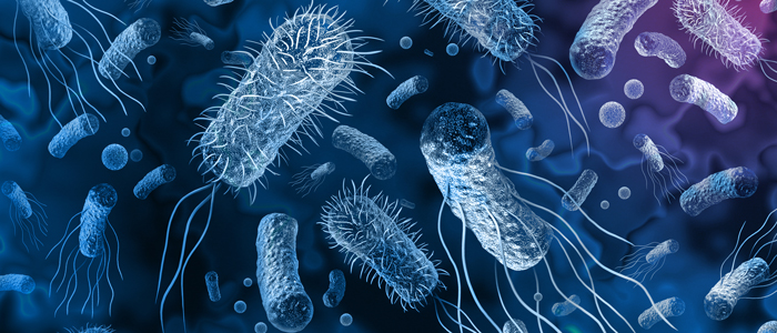 Bacteria outbreak and bacterial infection as a microscopic background as dangerous disease strain case as a medical health risk concept with disease cells as a 3D render.