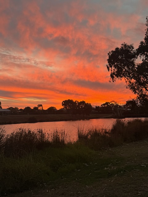 Photograph of a blazing sunset over a still body of water with of silhouettes of trees in the distance and small shrubs in the foreground. Pink-orange clouds fill the sky. The sun is not visible.  