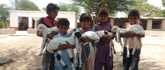Group of 5 children holding small goats in a rural village