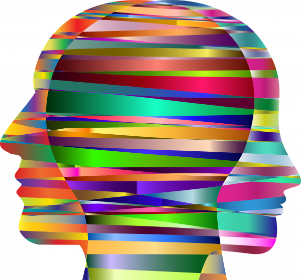 Equity and Mental Health Unit Logo, an outline of two heads