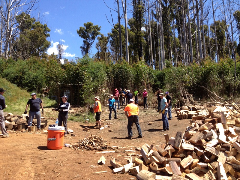Community on Ground Assistance working with fire affected families across Victoria processing timber