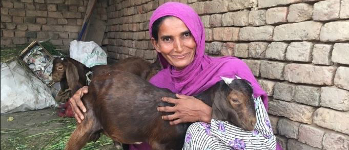 A Smiling Pakistani woman in a rural out building crouched down with an arn around a goat