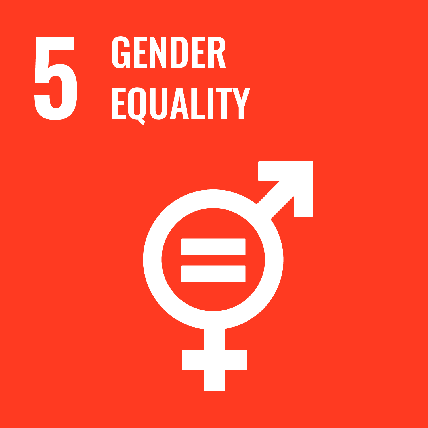 Icon SDG 5 Gender Equality Zero Hunger