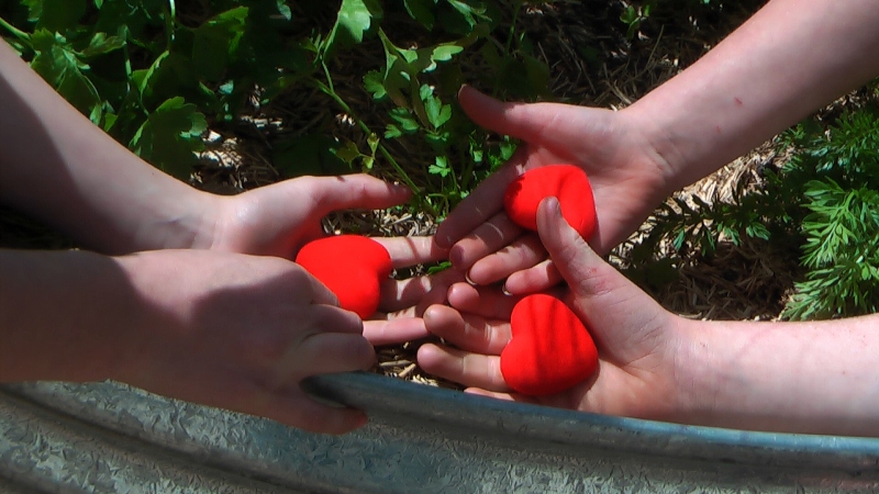 Three hands holding red hearts