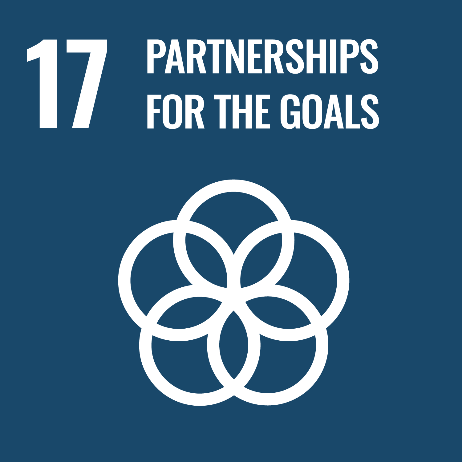 Icon SDG17 Partnerships for the Goals